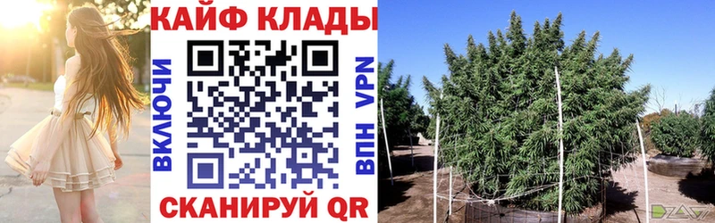 Купить наркотик Людиново КОКАИН  Меф мяу мяу  Гашиш  СК  mega сайт  Бошки Шишки 