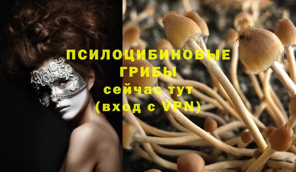 дживик Корсаков