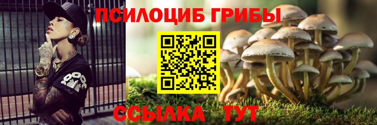 Людиново  Псилоцибиновые грибы прущие грибы  Вход с VPN 